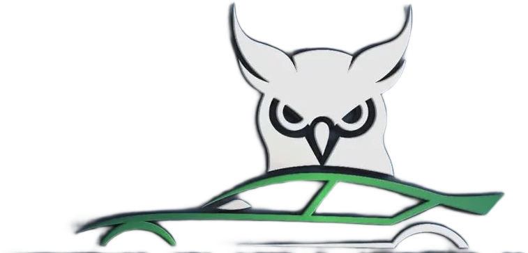 Driving Mogul logo — owl over a green car silhouette